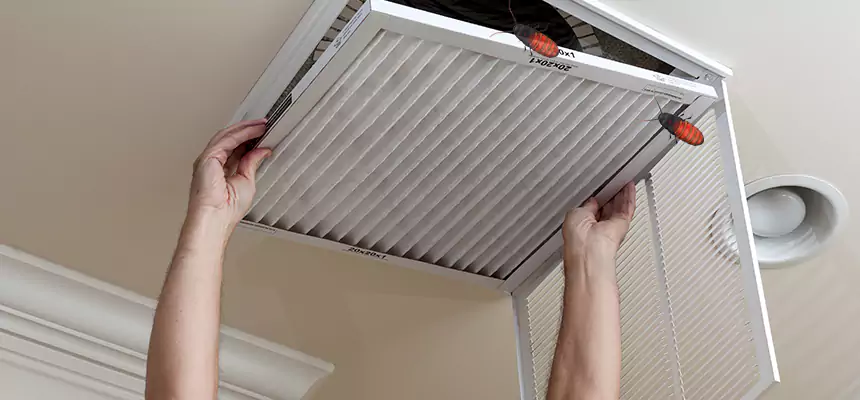 Preventive Cockroach-Proofing for Ducts in South San Jose Hills