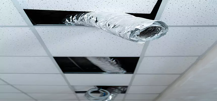 Our Air Duct Pet Hair Removal Services in South San Jose Hills, CA