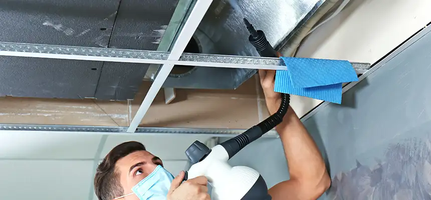 Our Air Duct Rodent Removal Services in South San Jose Hills, CA