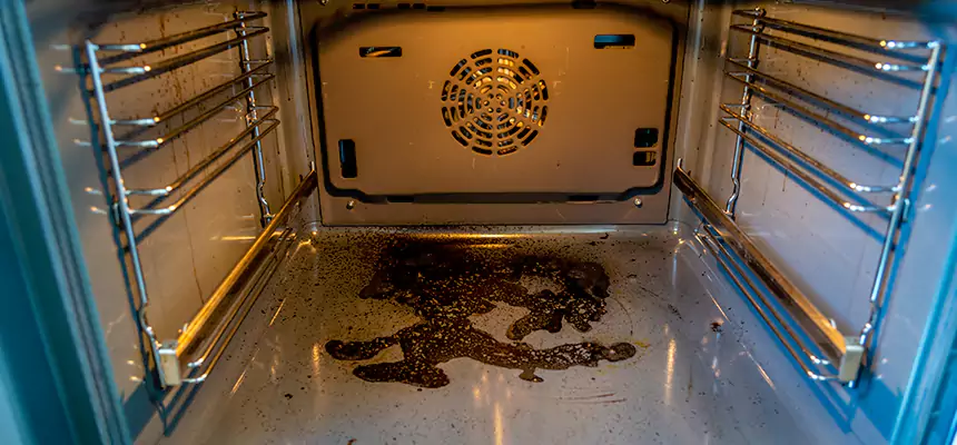 Our Dryer Vent Mold Cleaning Services in South San Jose Hills, CA