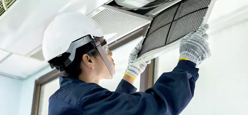 Our Mold & Mildew Removal from Air Ducts Services in South San Jose Hills, CA