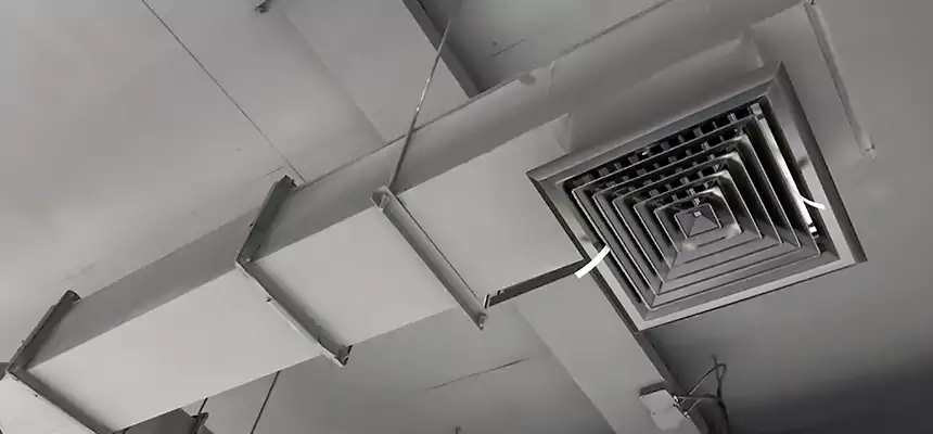 Our Rodent Droppings In Vents Services in South San Jose Hills, CA