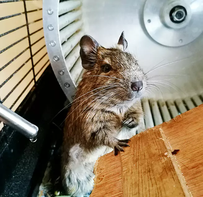 Why Homeowners & Businesses Trust Us South San Jose Hills, CA