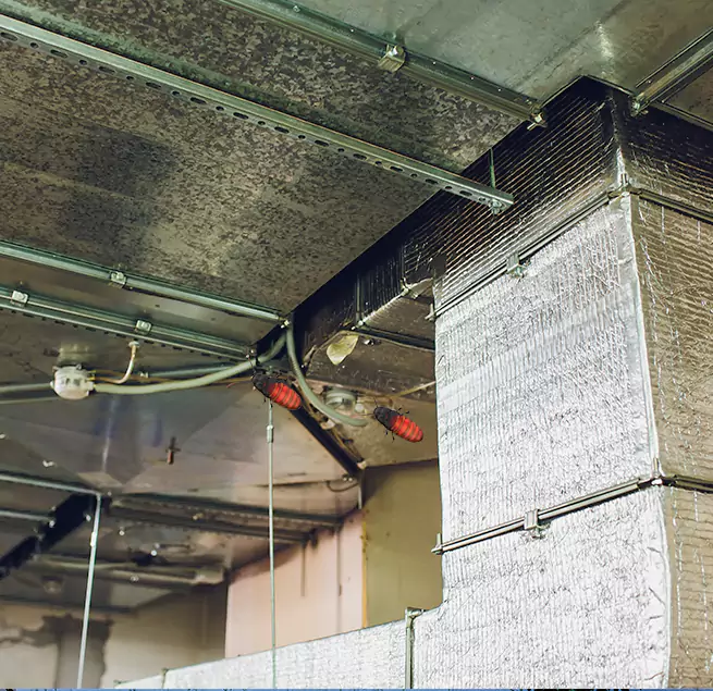 Why Homeowners & Businesses Trust Us South San Jose Hills, CA?